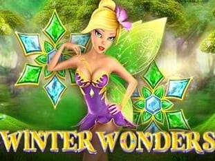 Winter Wonders game screenshot